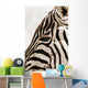 Zebra Wall Mural