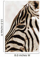Zebra Wall Mural