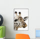 Portrait Of African Giraffe Wall Mural