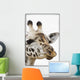 Portrait Of African Giraffe Wall Mural