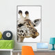 Portrait Of African Giraffe Wall Mural