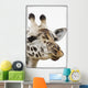 Portrait Of African Giraffe Wall Mural
