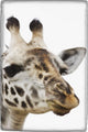 Portrait Of African Giraffe Wall Mural