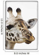 Portrait Of African Giraffe Wall Mural
