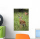United Republic Of Tanzania Wall Mural