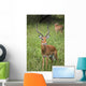 United Republic Of Tanzania Wall Mural