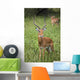 United Republic Of Tanzania Wall Mural