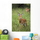 United Republic Of Tanzania Wall Mural