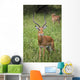 United Republic Of Tanzania Wall Mural