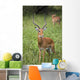 United Republic Of Tanzania Wall Mural