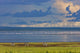 Zebras, Lake Manyara, Tanzania, Africa Wall Mural