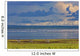 Zebras, Lake Manyara, Tanzania, Africa Wall Mural