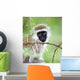 Vervet Monkey Wall Mural