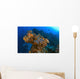Corals And Sponges, Cozumel, Mexico Wall Mural