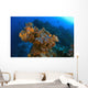 Corals And Sponges, Cozumel, Mexico Wall Mural
