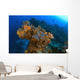 Corals And Sponges, Cozumel, Mexico Wall Mural
