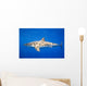 Great White Shark Wall Mural