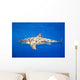 Great White Shark Wall Mural