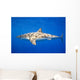 Great White Shark Wall Mural