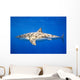 Great White Shark Wall Mural