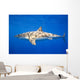 Great White Shark Wall Mural