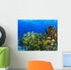 Schooling Fish On Coral Reef, Cozumel, Mexico Wall Mural