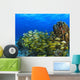 Schooling Fish On Coral Reef, Cozumel, Mexico Wall Mural