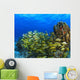 Schooling Fish On Coral Reef, Cozumel, Mexico Wall Mural