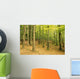 Devil's Glen Woods, County Wicklow, Ireland Wall Mural