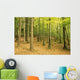 Devil's Glen Woods, County Wicklow, Ireland Wall Mural