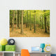 Devil's Glen Woods, County Wicklow, Ireland Wall Mural