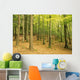 Devil's Glen Woods, County Wicklow, Ireland Wall Mural