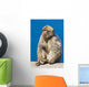 Gibraltar Barbary Macaque Wall Mural