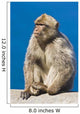 Gibraltar Barbary Macaque Wall Mural