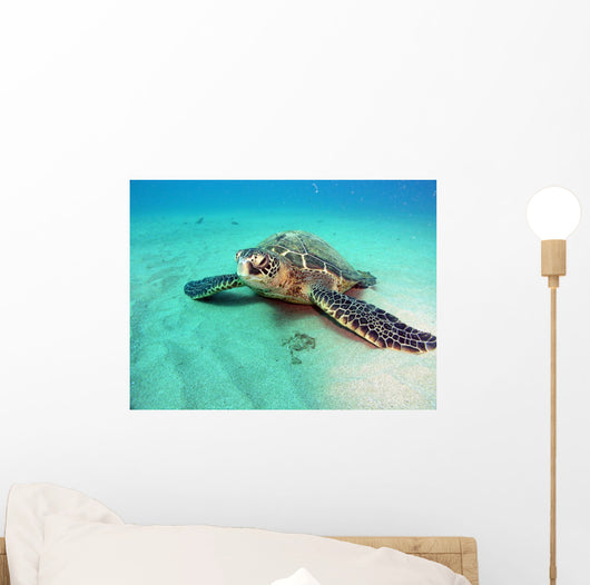 Laying about Wall Mural