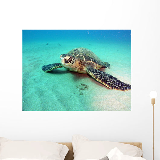 Laying about Wall Mural