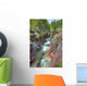 River Through Canyon, Waterton Lakes National Park, Alberta Wall Mural