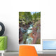 River Through Canyon, Waterton Lakes National Park, Alberta Wall Mural