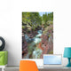 River Through Canyon, Waterton Lakes National Park, Alberta Wall Mural
