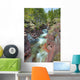 River Through Canyon, Waterton Lakes National Park, Alberta Wall Mural