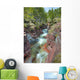River Through Canyon, Waterton Lakes National Park, Alberta Wall Mural