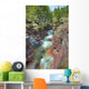 River Through Canyon, Waterton Lakes National Park, Alberta Wall Mural