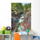 River Through Canyon, Waterton Lakes National Park, Alberta Wall Mural
