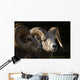 Bighorn Sheep, Waterton National Park, Alberta, Canada Wall Mural