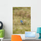Mountain Bluebird On A Fence Wire Wall Mural