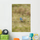 Mountain Bluebird On A Fence Wire Wall Mural