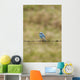 Mountain Bluebird On A Fence Wire Wall Mural