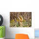 Colombian Ground Squirrel Wall Mural