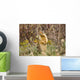 Colombian Ground Squirrel Wall Mural