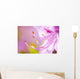 Close Up Of A Pink Flower Wall Mural